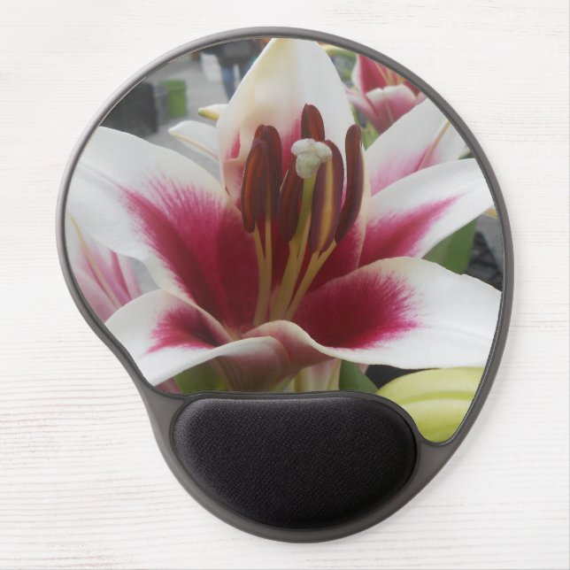 Star Gazer  Gel Mouse Pad (Front)