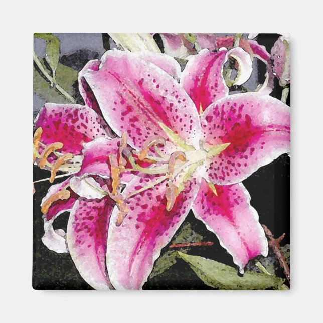Star Gazer Lily Art Magnet (Front)