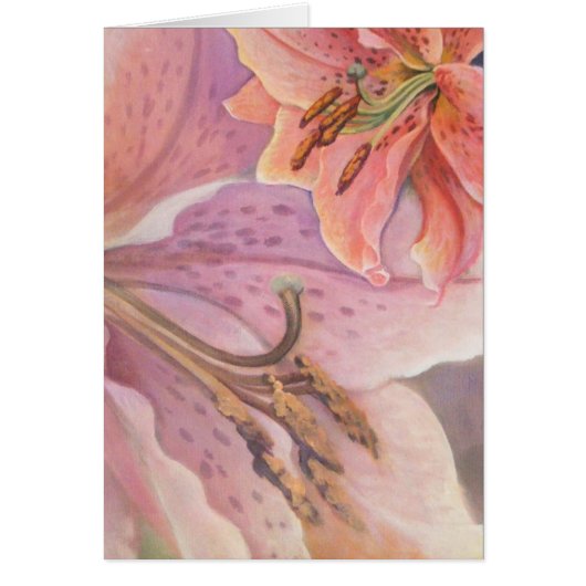 Star Gazer Lily Cards (Front)