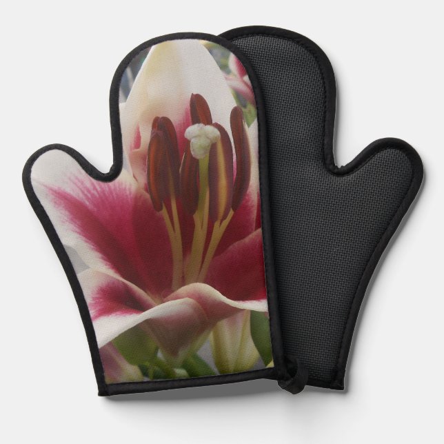Star Gazer Oven Mitt (Front/Back)