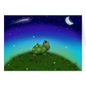 Star Gazing Turtle (Front Horizontal)