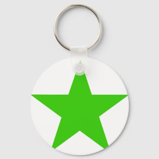 Star Green The MUSEUM Zazzle Gifts Keychain
