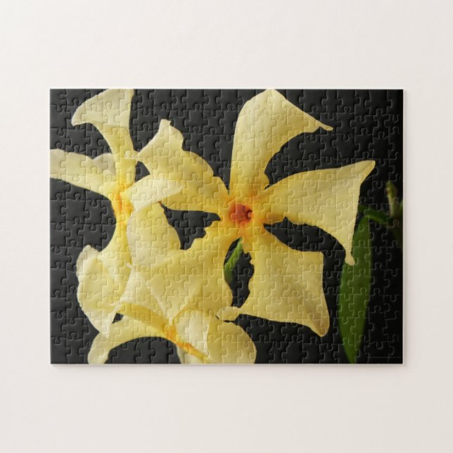 Star Jasmine Flower 11x14 252pc jpcna Jigsaw Puzzle (Horizontal)