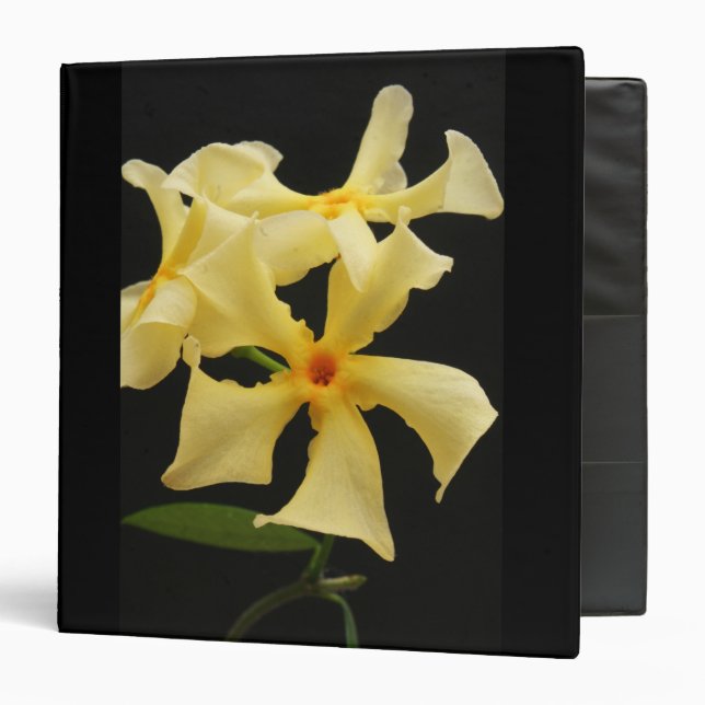 Star Jasmine Flower rbcnm 3 Ring Binder (Front/Inside)