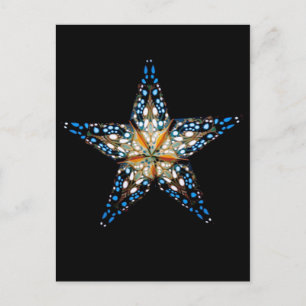 Star LIght #2 Postcard