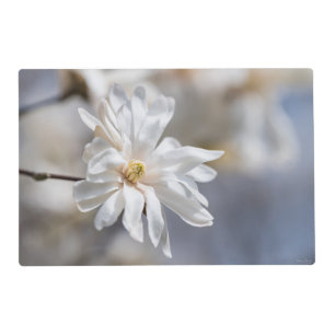 Star Magnolia Bloom Placemat