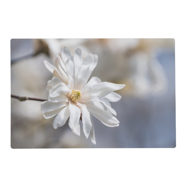 Star Magnolia Bloom Placemat (Front)