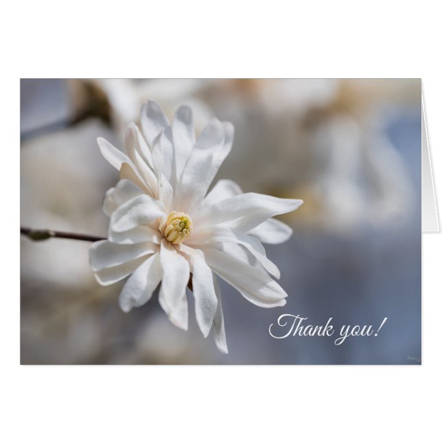 Star Magnolia Bloom Thank You Card (Front Horizontal)