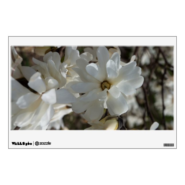 Star Magnolia Blooms Wall Decal (Front)