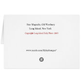 Star Magnolia Cards (Back Horizontal)