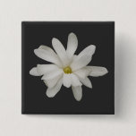 Star Magnolia Flower Badge Button