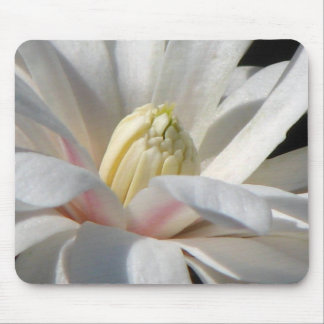 Star Magnolia Mouse Pad