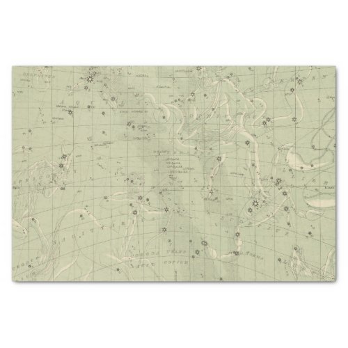 Star map 2 tissue paper