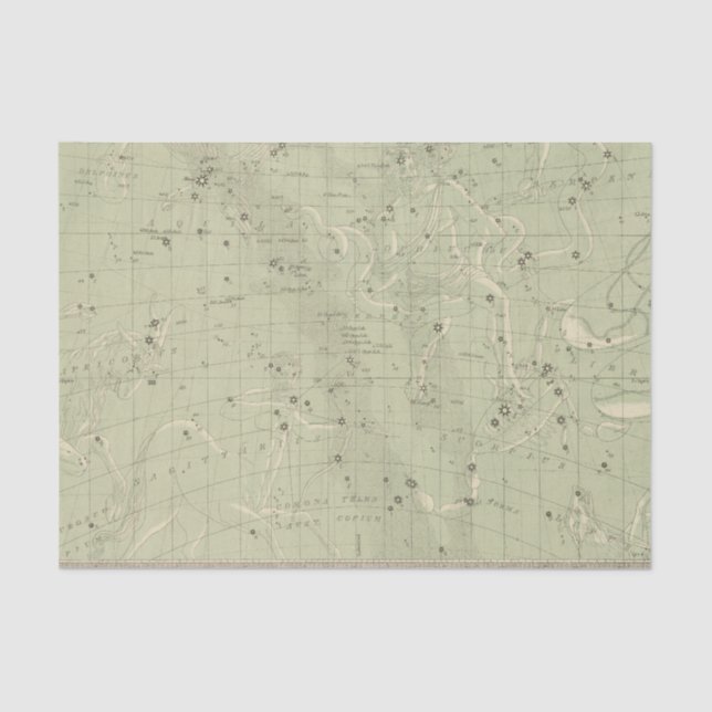 Star map 2 tissue paper (Front)