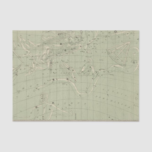 Star map tissue paper (Front)