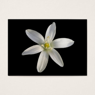 Star of Bethlehem ~ ATC card