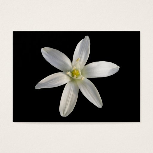 Customizable Star of Bethlehem ~ ATC card Business Card Template