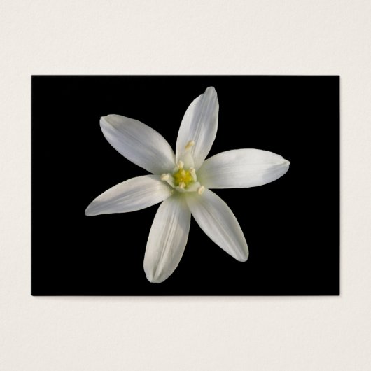 Star of Bethlehem ~ ATC card (Front)