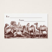 Star of Bethlehem Biblical Christmas Gift Cards (Back)