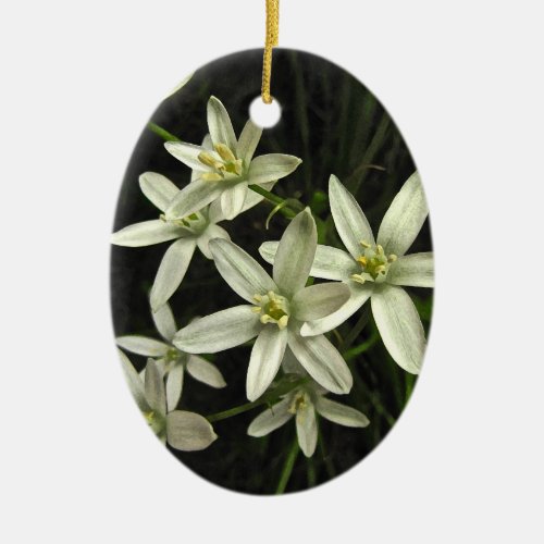 Star of Bethlehem Ceramic Ornament