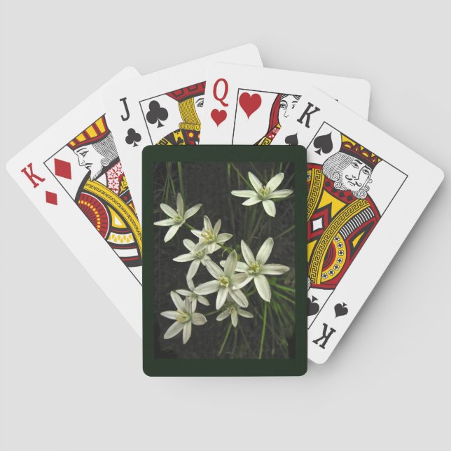 Star of Bethlehem Flower Playing Cards (Back)