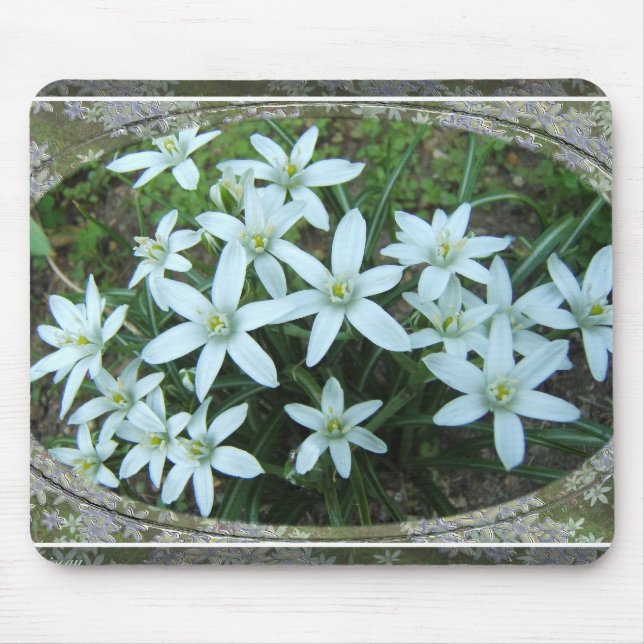 Star of Bethlehem lace ~ mousepad (Front)