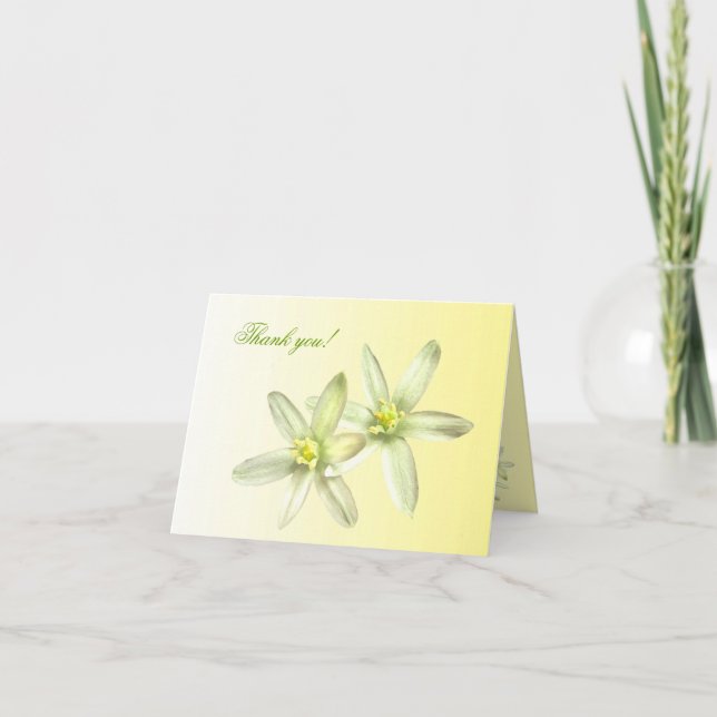 Star of Bethlehem Thank You Card (Front)