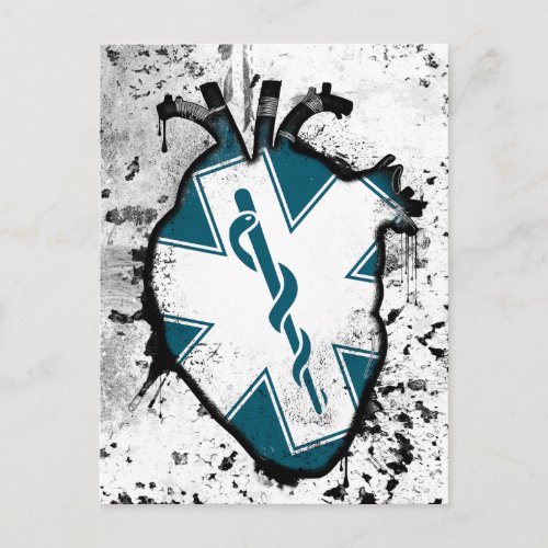 star of life emergency medical services worker postcard