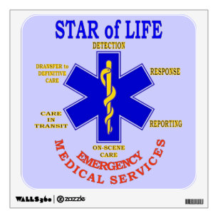 STAR OF LIFE WALL DECAL