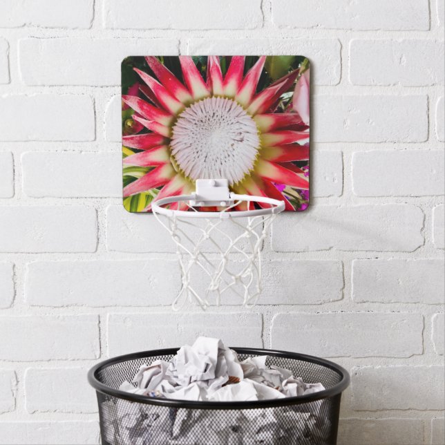 Star of the show King Protea Basketball hoop (In Situ)