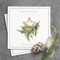 Star Ornament Pine Branch Fauna Merry Christmas