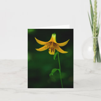 Star Pose Card