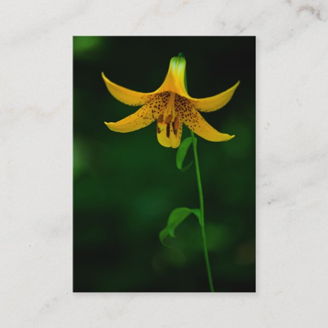 Star Pose Mini Print Business Card (Front)