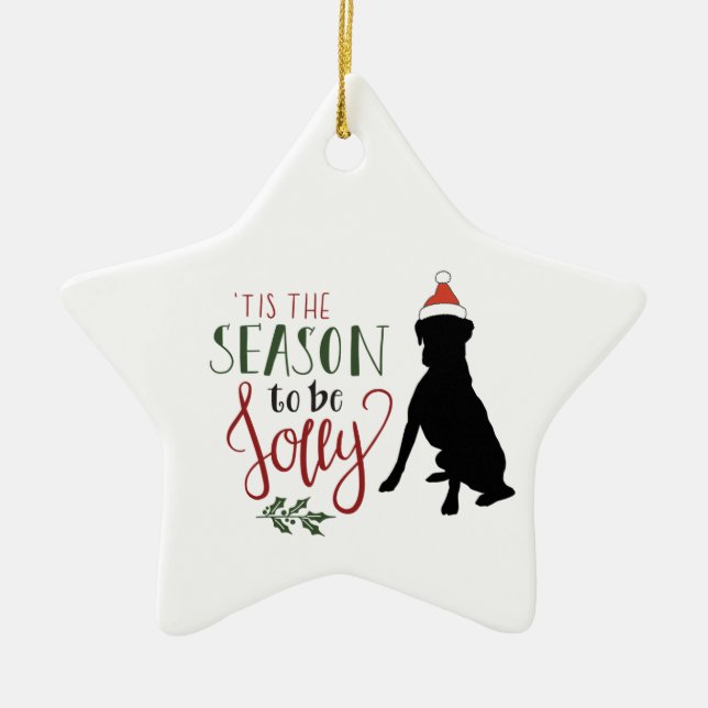 Star Shaped Boxer Dog Christmas Ornament (Front)