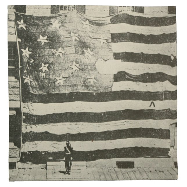 Star Spangled Banner: American Flag on Display Cloth Napkin (Front)