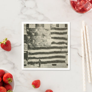 Star Spangled Banner: American Flag on Display Napkins