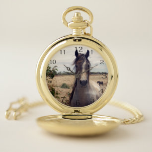 Star The Arab Horse, Pocket Watch