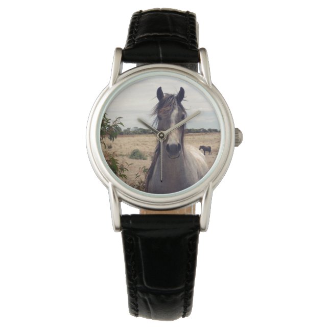 Star The Arab Horse, Watch (Front)