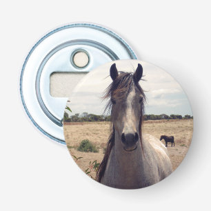 Star The Arab Pony, Bottle Opener
