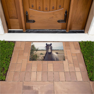 Star The Arab Pony, Doormat