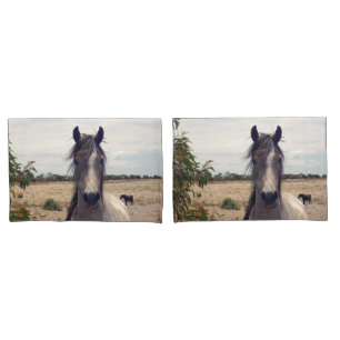 Star The Arab Pony, Pillow Case
