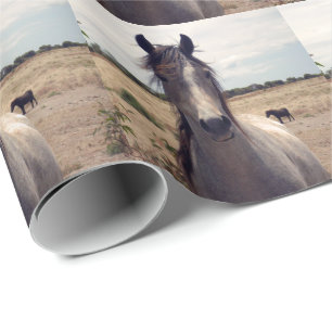 Star The Arab Pony, Wrapping Paper