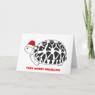 Star Tortoise Christmas Card (elf hat)