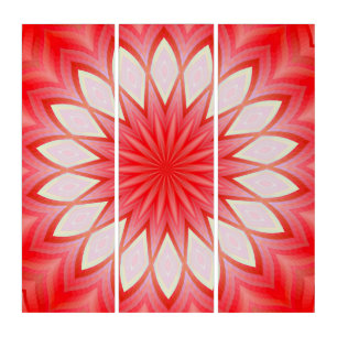 Star White And Red Kaleidoscope Floral Mandala Triptych