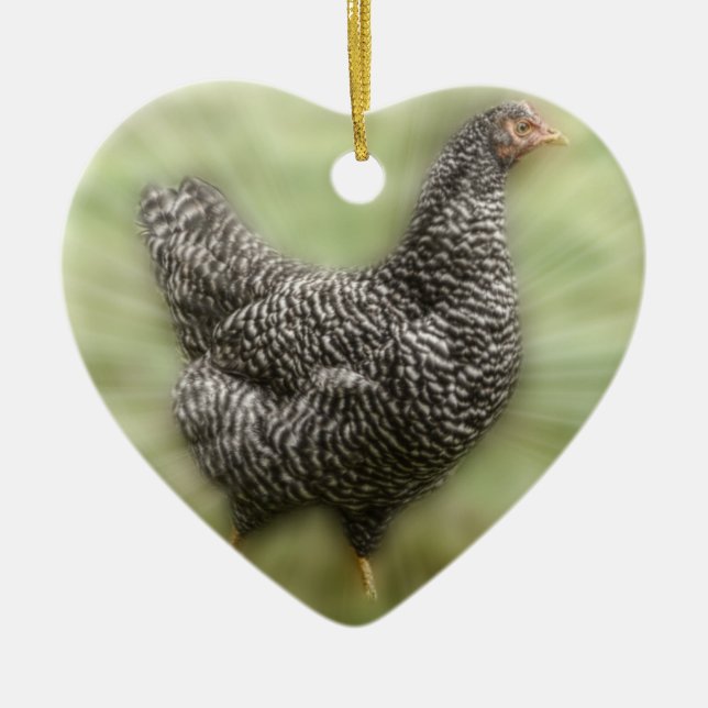 Starburst Chicken Young Barred Plymouth Rock Hen Ceramic Ornament (Front)