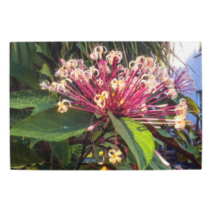 Starburst Clerodendrum Flowers Metal Wall Art