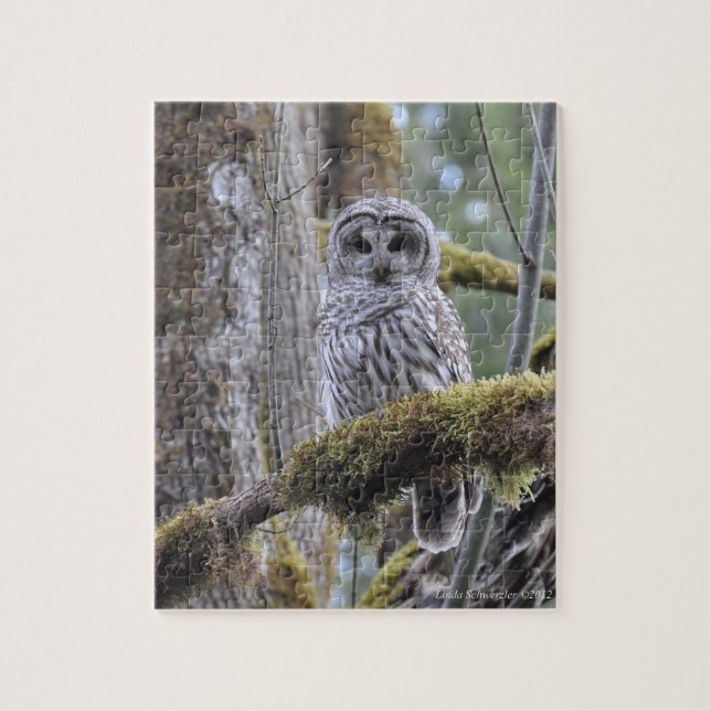 Stare Down with the Owl Jigsaw Puzzle (Vertical)