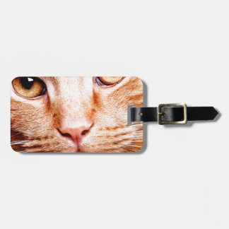 Stare Luggage Tag