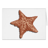 Starfish (Front Horizontal)