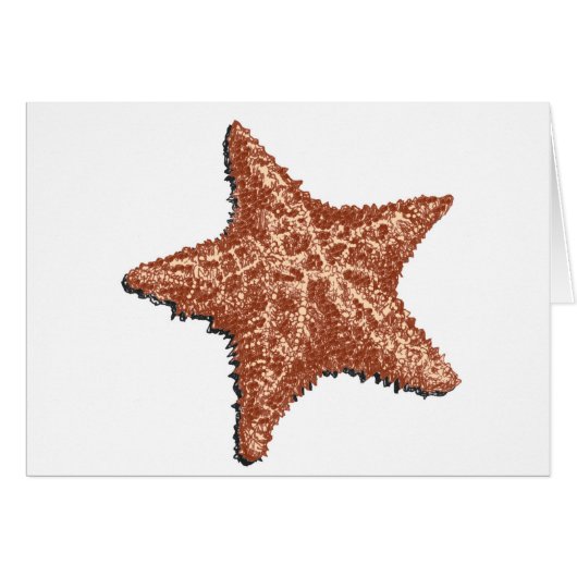 Starfish (Front Horizontal)